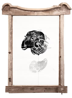 Girolamo Ciulla, 2017, Ariete che si specchia, carboncino e tempera su carta Arches, 100x150 cm