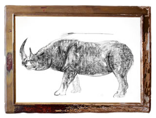 Girolamo Ciulla, 2017, Rinoceronte con spiga, carboncino e tempera su carta Arches, 100x150 cm